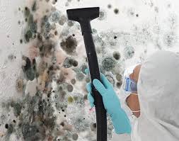 Best Biohazard Mold Removal  in Yorketown, NJ